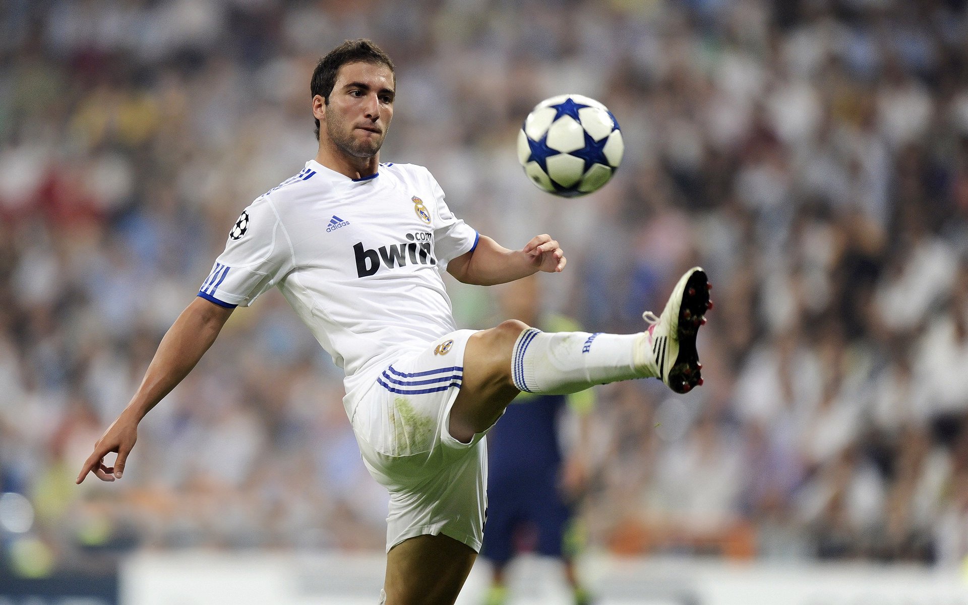 赛尔·阿尔斯塔：用他的领导力带领南非队迈向新高峰，阿尔塞钦